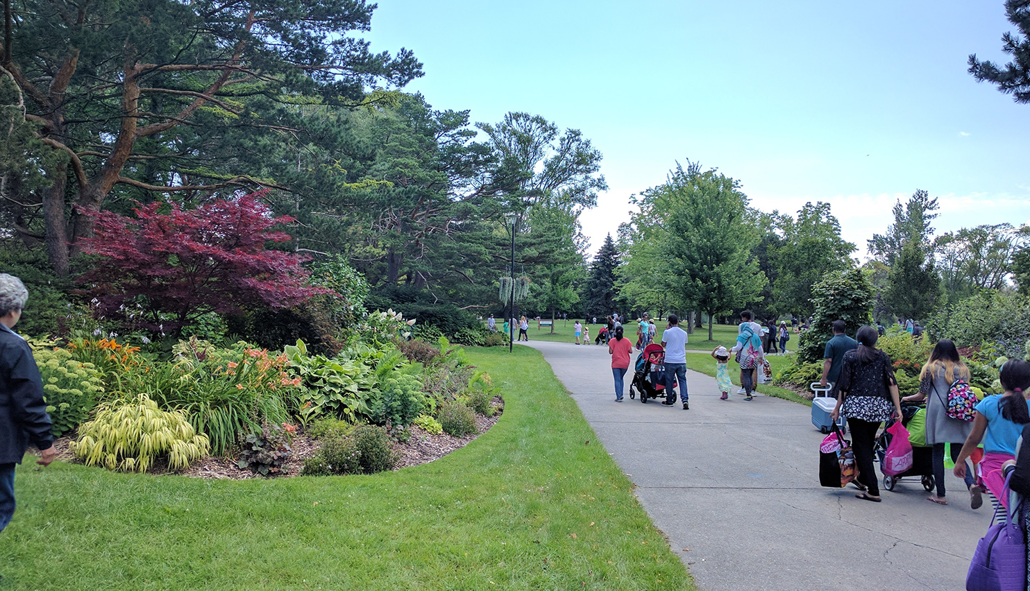 course image
