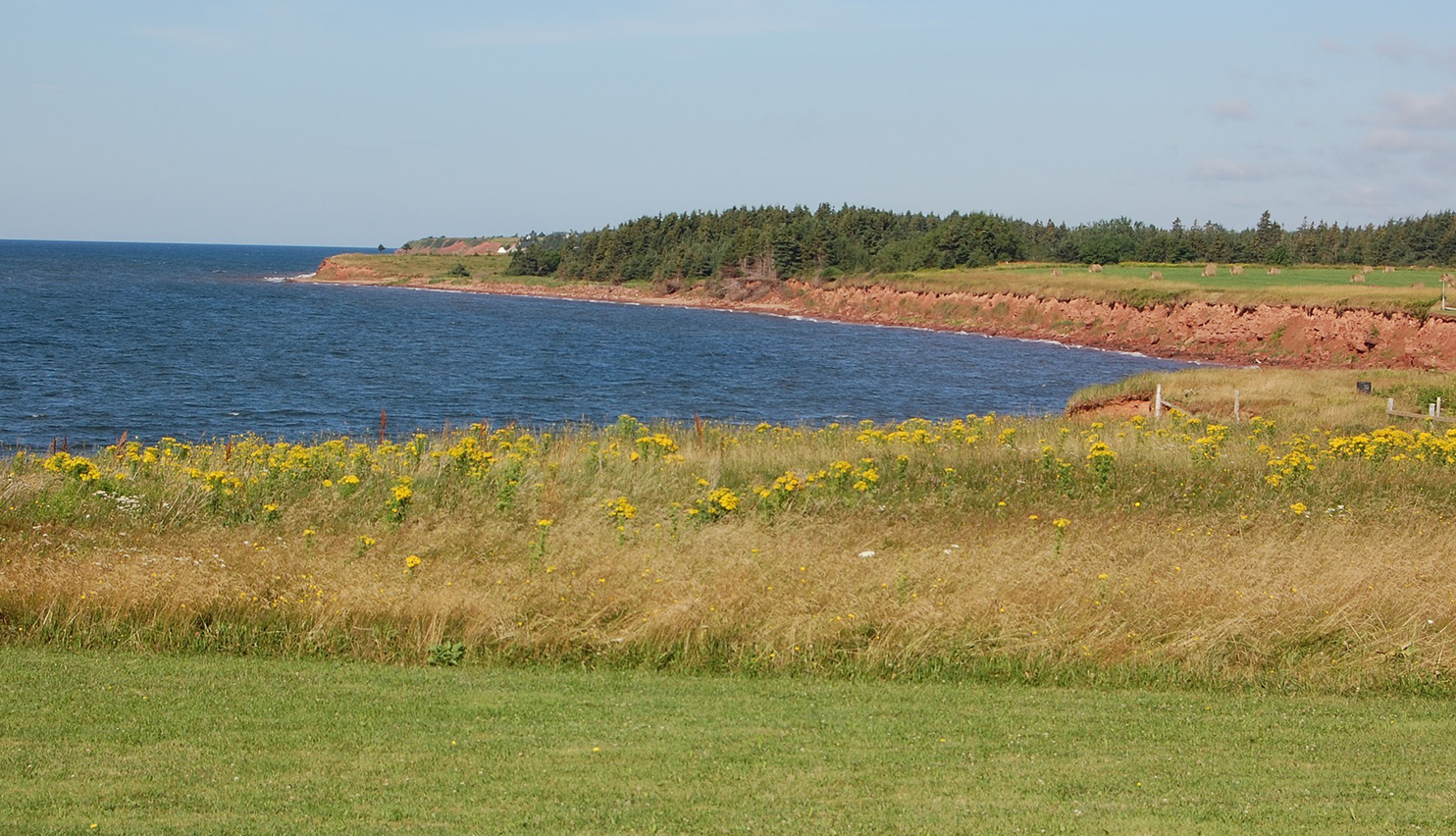 course image